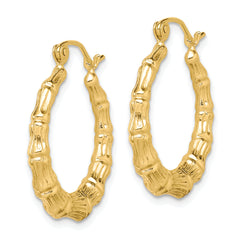 10K Gold Polished Hollow Hoop Earrings with Shrimp Design for Women 15mm