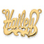 10KY Polished Name Plate