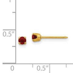 Inverness 24k Gold Plated Crystal Birthstone Stud Earrings for January
