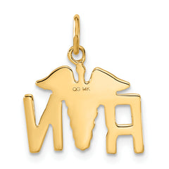 14K Gold RN Registered Nurse Charm with Polished Finish Elegant and Gift Ready