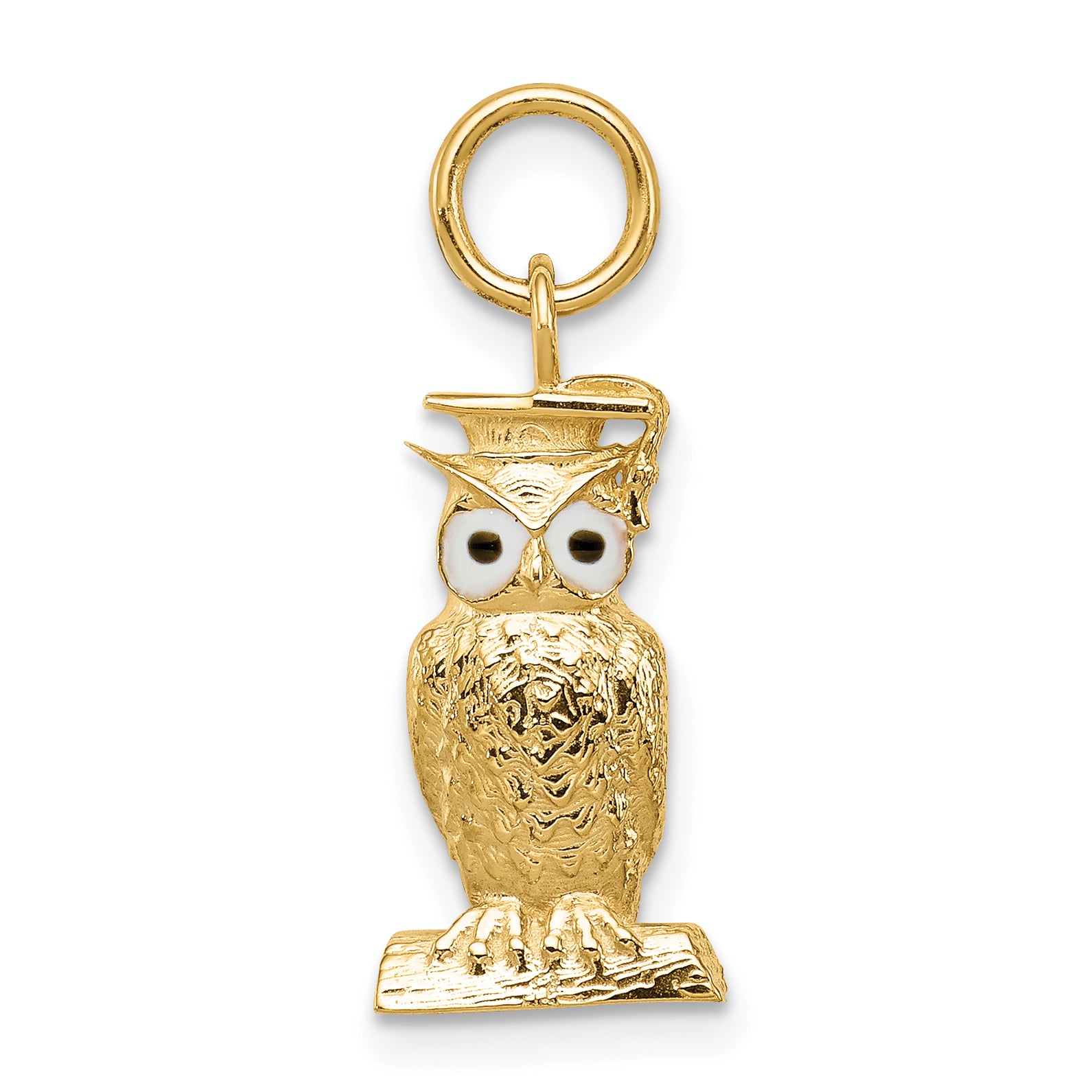 14K Graduation Owl Charm with Enamel