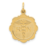 14k RN Registered Nurse Disc Charm