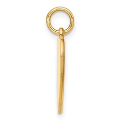 14K Gold Polished Flag Heart Charm with Textured Finish