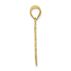 14K Gold Leo Zodiac Pendant with Polished Satin Finish Solid Oval Design