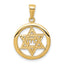 14K Jewish Chai In Star Of David Pendant