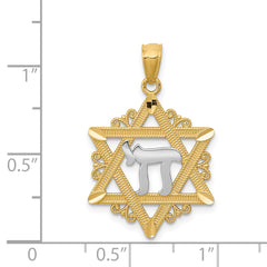 14K Gold Star of David Pendant with Rhodium Plating Solid & Elegant Design
