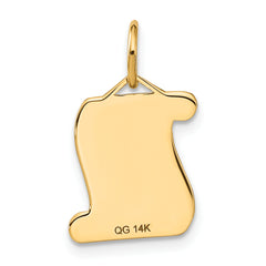 14K Gold Diploma Charm with Flat Back Elegant Themed Pendant