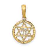14K Star of David and Chai in Circle Pendant