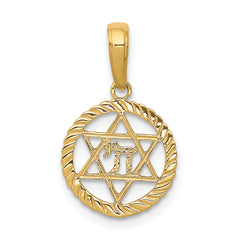14K Star of David and Chai in Circle Pendant