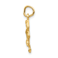 14K Gold Satin Diamond-Cut Leo Zodiac Charm Elegant and Themed Jewelry