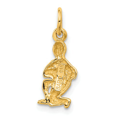 14K Gold Satin Diamond-Cut Aquarius Zodiac Charm Elegant & Themed Design