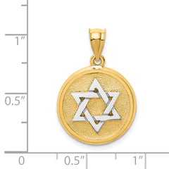 14K Two-Tone Gold Star of David Charm with Satin Finish