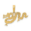 Dragon Pendant in 14K Yellow Gold, 14mm Textured - Sophia Jewelers