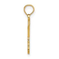 14K Gold Rooster Pendant with Polished Finish and Textured Detail