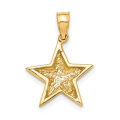 14K Polished Star Pendant