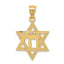14k Solid Polish Chai in Star of David Charm