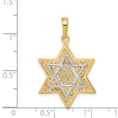 14K Gold Star of David Pendant with Rhodium Mesh Accent, 32mm Elegant Design