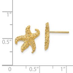 14K Gold Starfish Earrings with Solid Casted Design for Women
