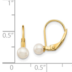 14K Gold Freshwater Pearl Leverback Earrings Polished Elegance