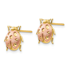 14K Two-Tone Gold Ladybug Earrings with Polished Finish