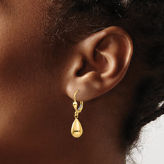 14K Gold Polished Dangle Earrings with Leverback Closure for Women