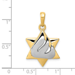 14K Two-Tone Gold Star of David Pendant with Open Back Design