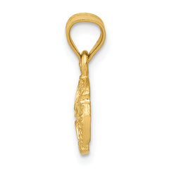 14K Gold Sand Dollar Pendant with Polished Finish and Textured Design