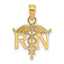 14k RN Registered Nurse Pendant