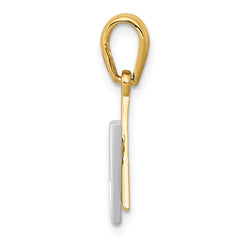 14K Two-Tone Star of David with Shin Charm Elegant, Themed Pendant