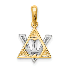 14K Two-Tone Star of David with Shin Charm Elegant, Themed Pendant
