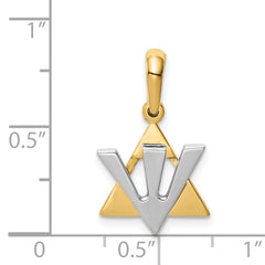 14K Two-Tone Star of David with Shin Charm Elegant, Themed Pendant