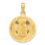 14K Polished D/C Lady Of Guadalupe Circle Pendant