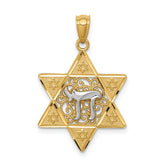 14k Two-tone Gold Polished Star of David w/Chai Pendant