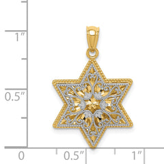 14K Two-Tone Gold Star of David Reversible Filigree Pendant