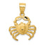 Crab Pendant in 14K Yellow Gold, 19x17mm Diamond-Cut - Sophia Jewelers