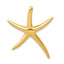 14k Polished Starfish Slide