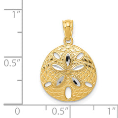 14K Gold Rhodium Diamond-Cut Polished Sand Dollar Pendant for Men