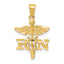14k Diamond-cut RN Pendant