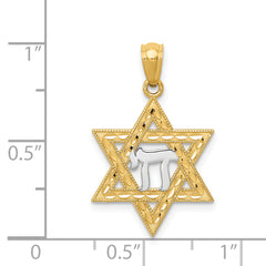 14K Gold Star of David with Chai Pendant, Rhodium Accents, Polished Finish