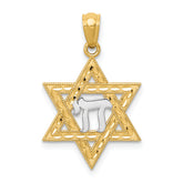 14k w/Rhodium Star of David w/Chai Pendant