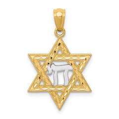 14k w/Rhodium Star of David w/Chai Pendant