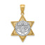 Star of David & Menorah Pendant in 14K Two-Tone Gold, 27mm Textured - Sophia Jewelers