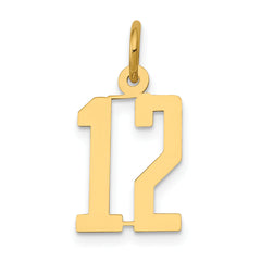 14k Small Elongated Number 12 Charm