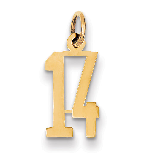 14k Small Elongated Number 14 Charm