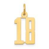 14k Small Elongated Number 18 Charm
