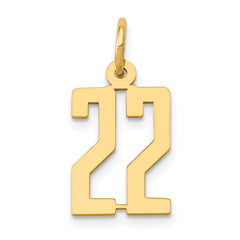 14k Small Elongated Number 22 Charm