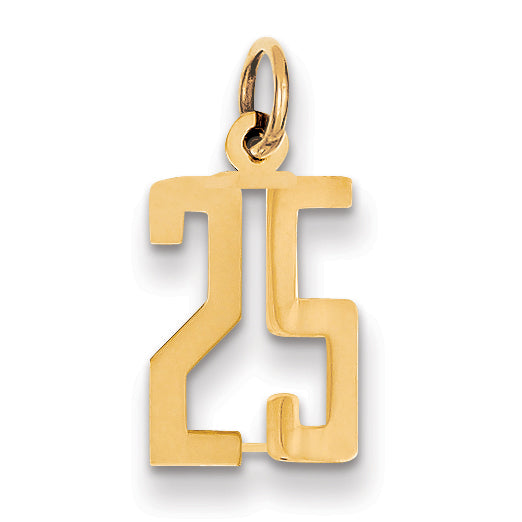 14k Small Elongated Number 25 Charm