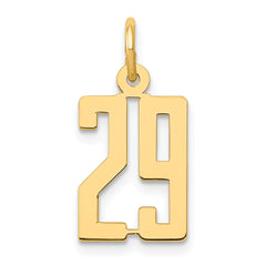 14k Small Elongated Number 29 Charm