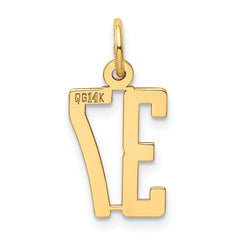 14K Gold Polished Elongated Charm Small, Laser Cut, Themed