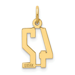 14K Gold Polished Elongated Charm Laser-Cut Small Themed Design